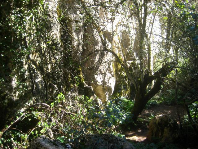 image Paraje natural del Torcal de Antequera, Málaga (España)