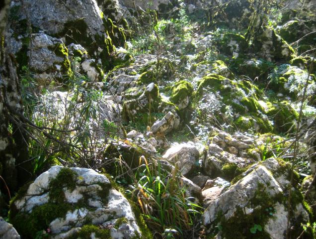 image Paraje natural del Torcal de Antequera, Málaga (España)