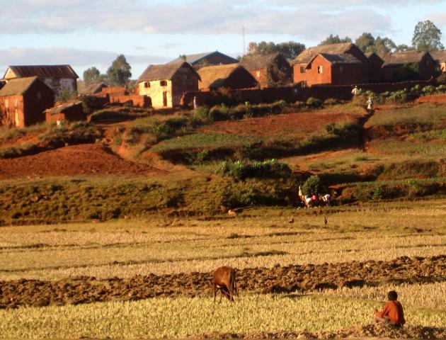 image Paisaje rural de Madagascar 