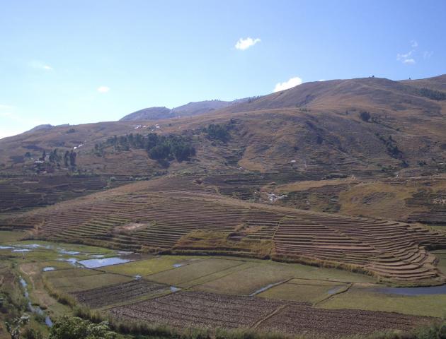 image Arrozales en Madagascar