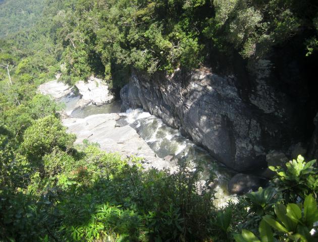 image Rio y selva en el Parque nacional de Ranomafana