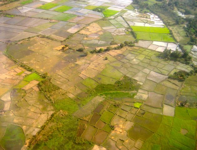 image Campos de cultivo en Morondava. Vista aérea