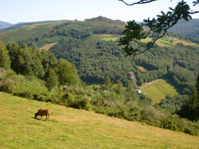 image Campo de Asturias