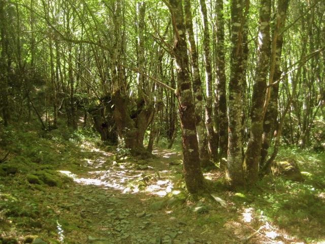 image Ruta de la Seimeira en Santa Eulalia de Oscos, Asturias