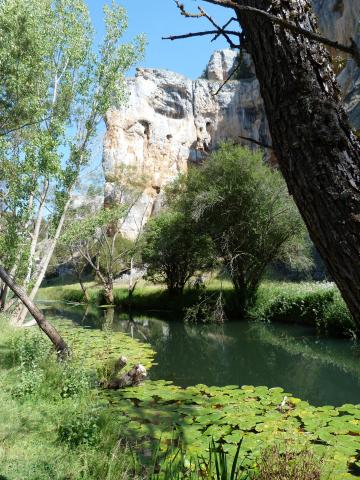 image Parque natural del Cañón del Río Lobos