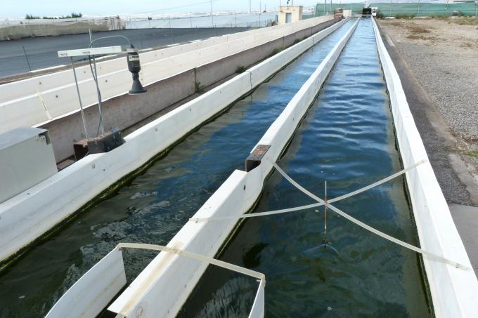 image Finca Las Palmerillas