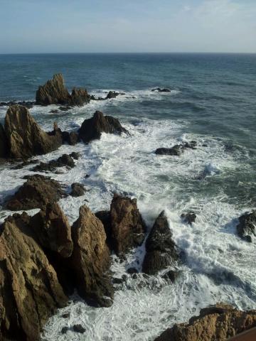 image Arrecife de las Sirenas