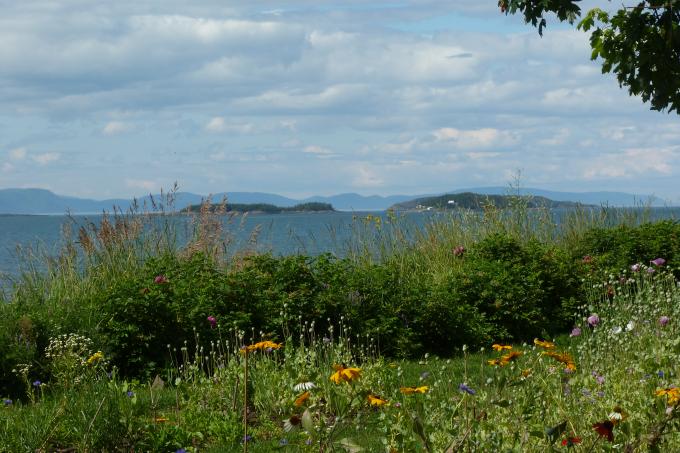 image Río San Lorenzo