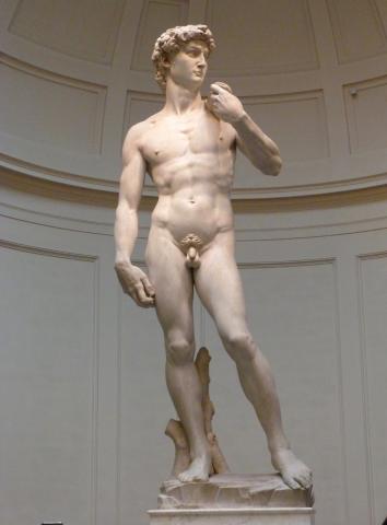 image Escultura David de Miguel Ángel