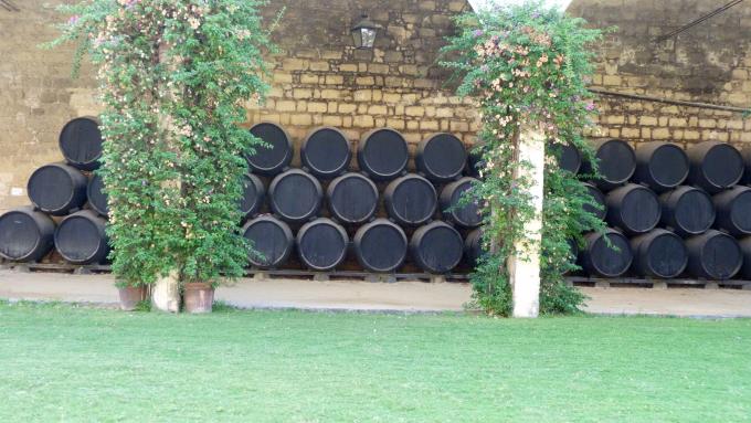 image Bodegas Gonzales Byass