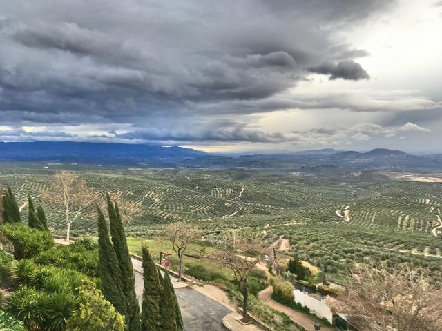 image Cerros de Úbeda. 