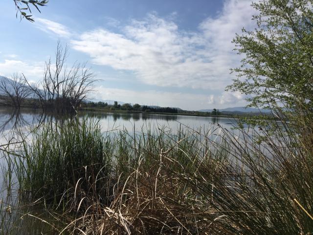 image Lagunas del Padul