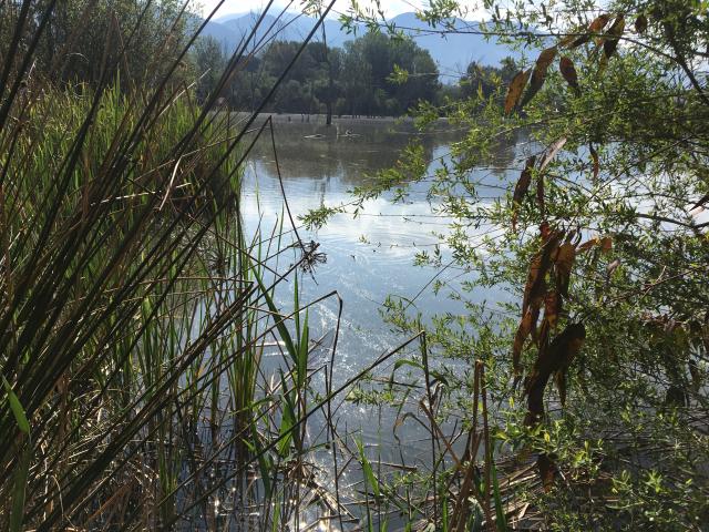 image Lagunas del Padul