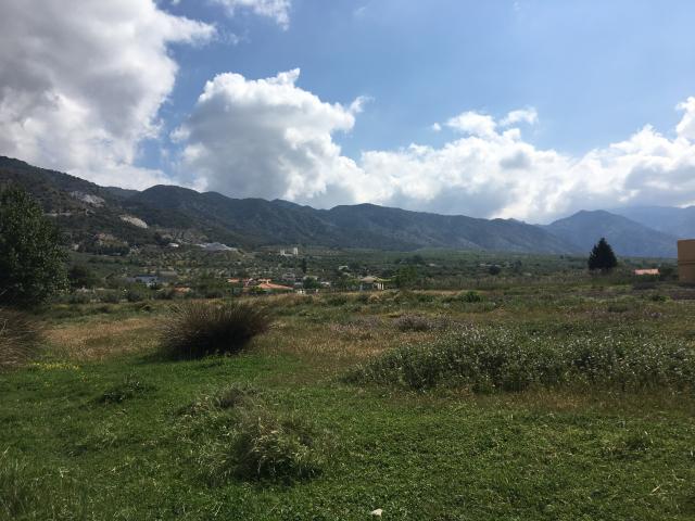 image Lagunas del Padul