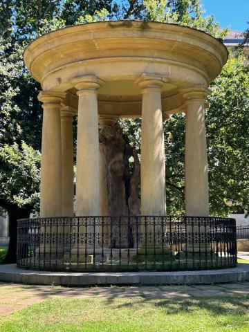 image Árbol de Guernica en Guernica y Luno, Vizcaya