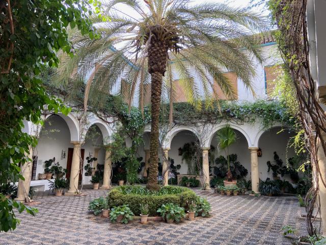 image Palacio de Viana