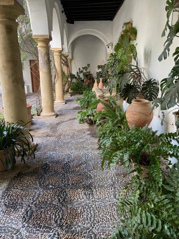 image Palacio de Viana de Córdoba