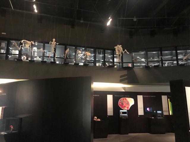 image Parque de las Ciencias de Granada