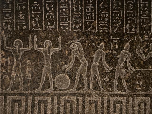 image Hormigas faraón