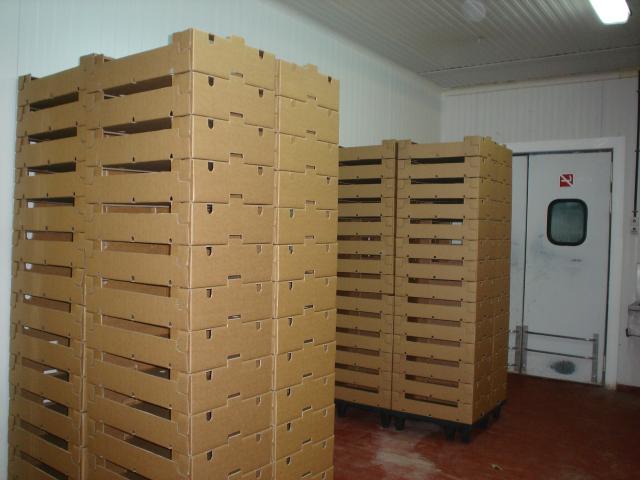 image Almacenamiento de cajas en el matadero de conejos