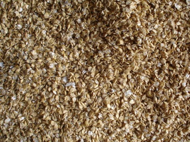 image Cebada aplastada para alimentación animal