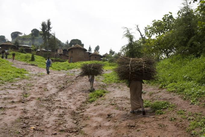 image Mujeres acarreando leña en Lalibela, Etiopía