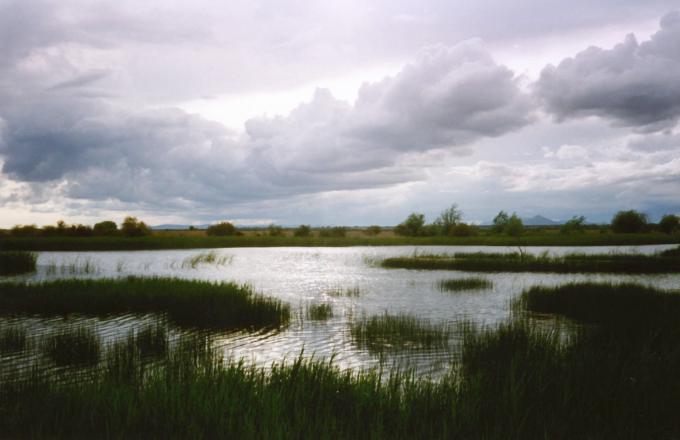 image Nubes sobre la laguna, Tablas de Daimiel, Ciudad Real