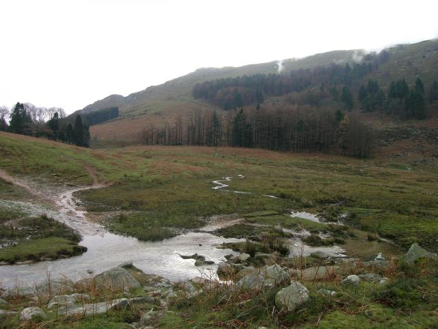 image Arroyo en el monte Larrun, Pirineos Atlánticos, Francia