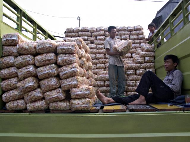 image Descargando fritos, Jakarta, Indonesia