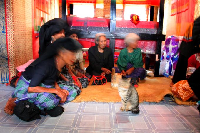 image Entierro de Toraja, Sulawesi, Indonesia