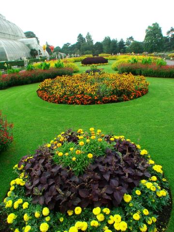 image Motivos florales en Kew Gardens, Londres, Inglaterra