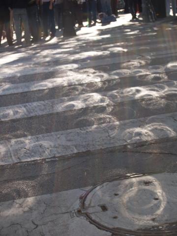 image Efecto del eclipse a través de las hojas de un árbol