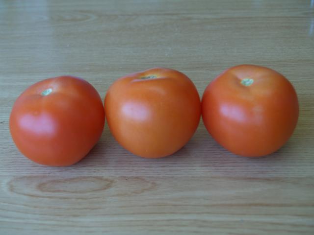 image 3 tomates