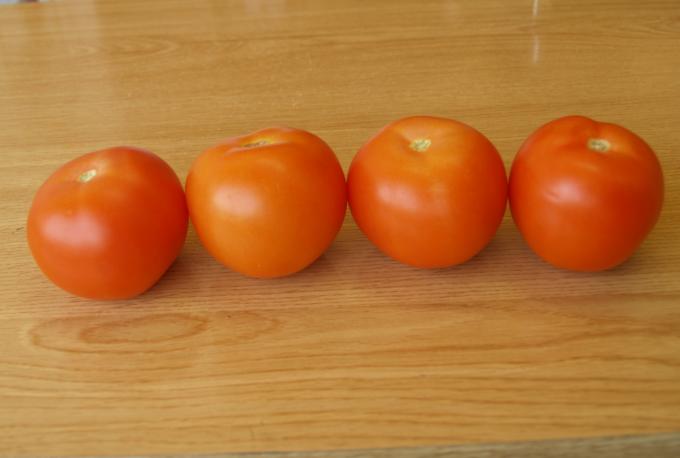 image 4 tomates
