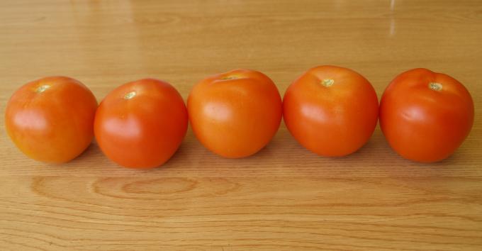 image 5 tomates