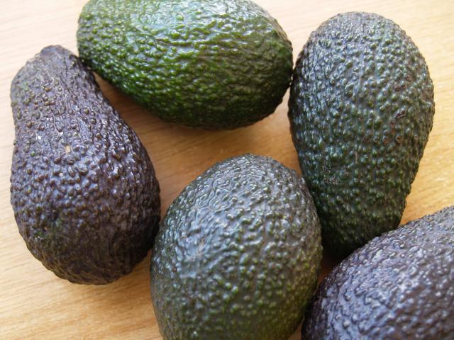 image Aguacates