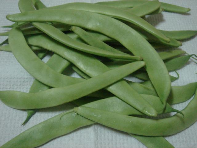 image Judias verdes