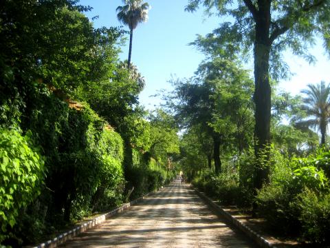 image Jardines de Murillo