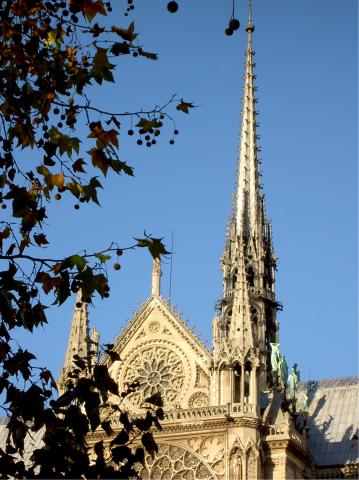 image Catedral de Notre Dame de París: aguja