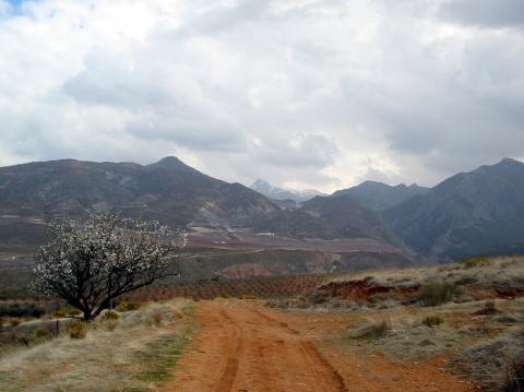 image Vista de Sierra Nevada desde Dilar