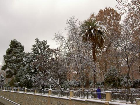 image Paseo del Salón (Granada)