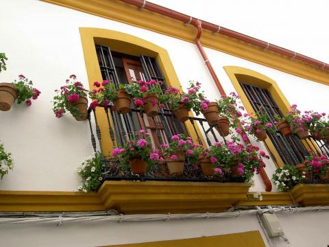 image Balcón decorado con flores (Córdoba)