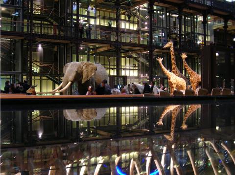 image Interior Museo Nacional de Historia Natural, París (Francia) 