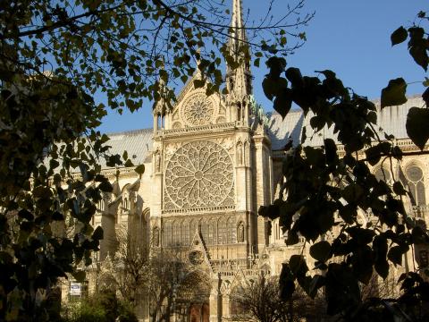 image Catedral de Notre Dame, París (Francia)