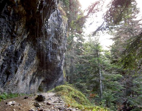 image Cascada en los Pirineos (Francia)