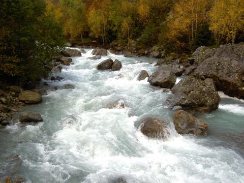 image Río Gave en los Pirineos (Francia)