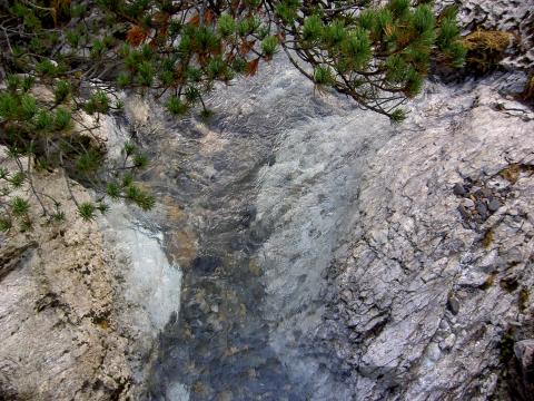 image Río Gave en los Pirineos (Francia)