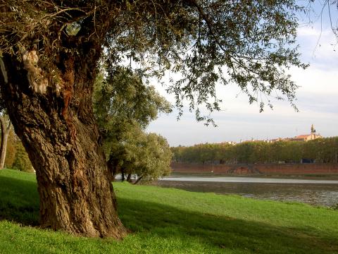 image Río Garona a su paso por Toulouse (Francia)