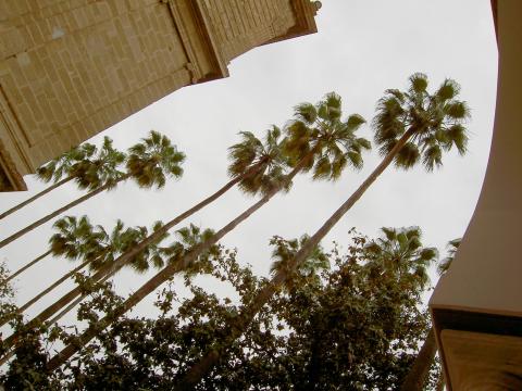 image Parlamento de Andalucía, Sevilla (España)
