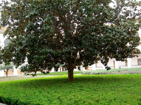 image Parlamento de Andalucía, Sevilla (España)